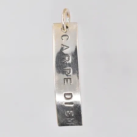 Hänge, Carpe Diem, Efva Attling, 35x8mm, silver 925/1000 Vikt: 4,2 g