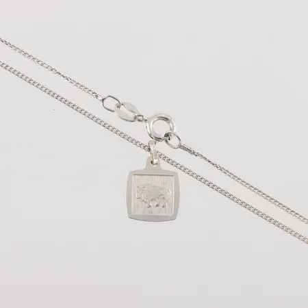 Kedja Pansar 40cm med hänge , silver Vikt: 2,5 g