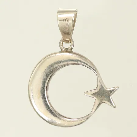 Hänge, längd 23mm inkl ögla, bredd 25mm, Silver 925/1000, 6,7g Vikt: 6,7 g