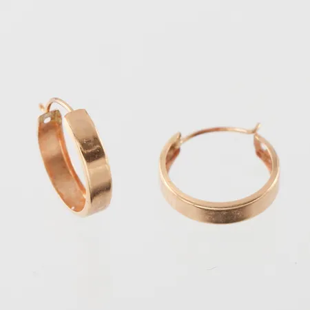 Örhängen paret 18k,diameter ca 12.6 mm. Vikt: 0,5 g