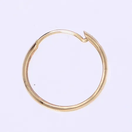 Udda örhänge 18K Vikt: 0,4 g