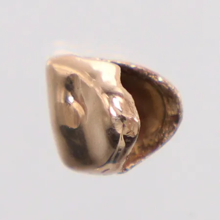 Tandguld, 14K Vikt: 1,5 g