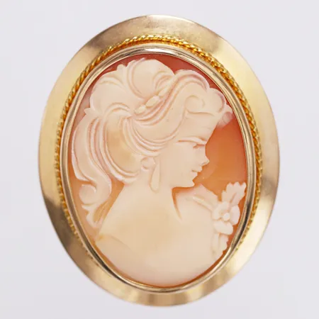 Hänge brosch camé, 30x42mm, 18K  Vikt: 8 g