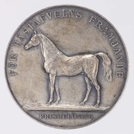 Medalj, För Hästafvelns Främjande, Gustaf V Sveriges Götes och Vendes Konung, Ø43mm, silver 830/1000 Vikt: 33,6 g