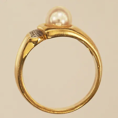 Bild av vara SE22.R29741