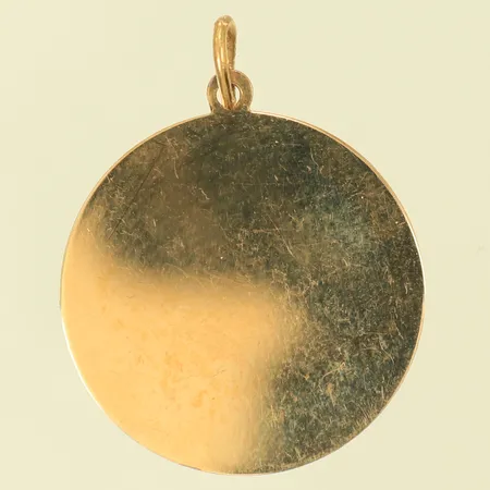 Hänge Ø20mm exkl ögla, 18K 1,8g 