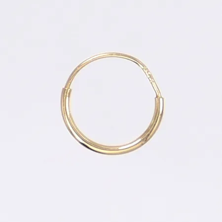 Udda örhänge Ø10mm Vikt: 0,1 g