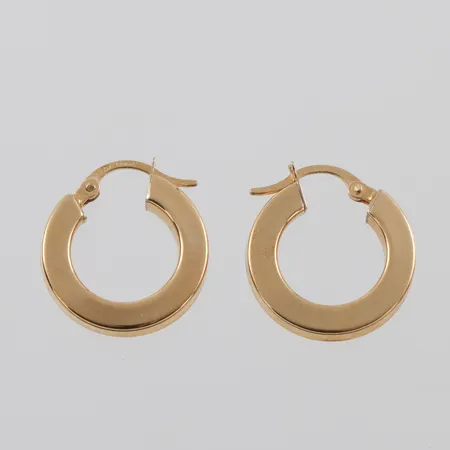 Örhängen 18k paret,diameter ca 16.2 mm.  Vikt: 2,4 g