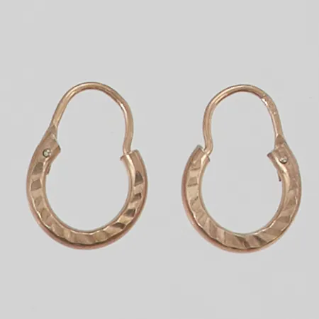 Ett par örhängen 16mm förgyllda 830/1000 Silver 1,1g.