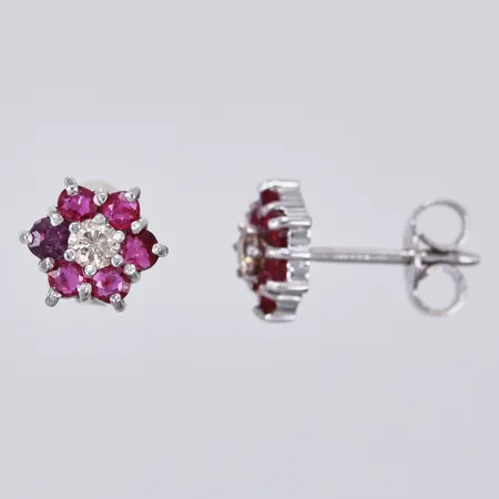 Bild av vara SE19.R49263