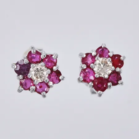 Bild av vara SE19.R49263