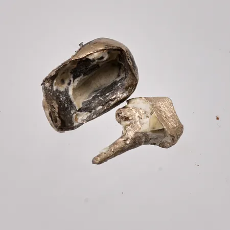 Tandguld 2st 18K, 4,42g.