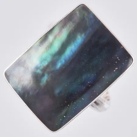 Bild av vara SE19.R49762