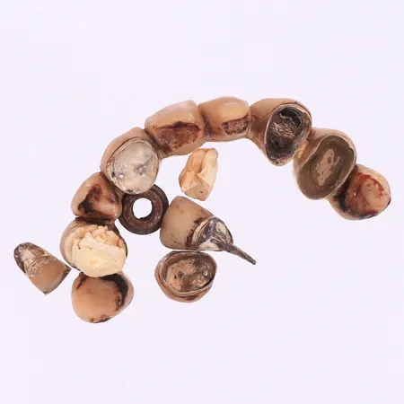 Tandguld orensat. Vikt: 37,3 g