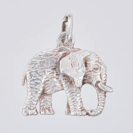 Bild av vara SE19.R49259