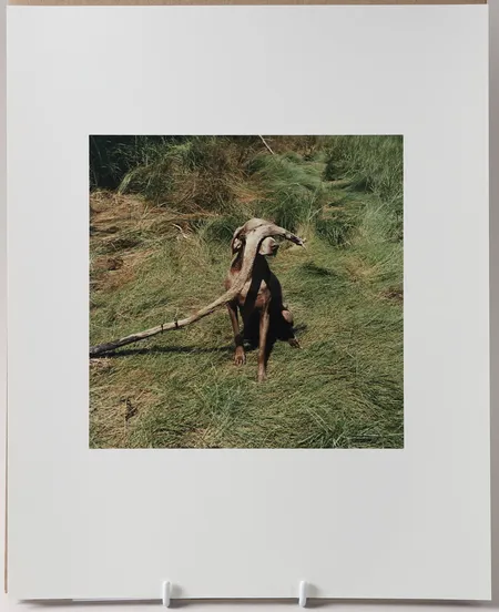 Bild av vara SE1.R86608