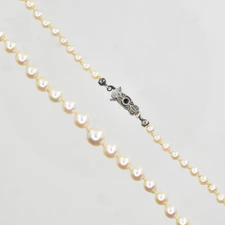 Pärlcollier doserat 96 odlade pärlor Ø3-6 mm, längd ca 54 cm, sten i lås saknas, lås i silver 835/1000. Vikt: 0 g