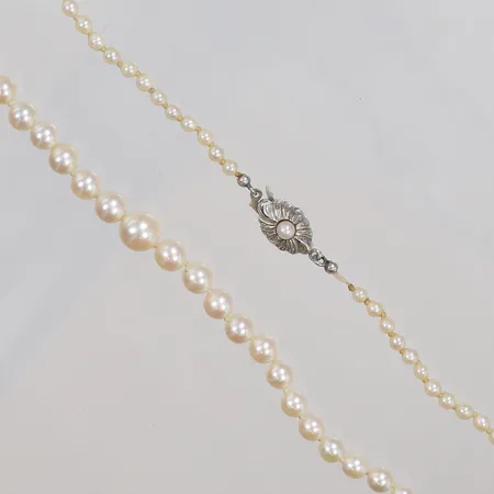 Pärlcollier med odlade saltvattenpärlor Akoya doserat längd 52cm Ø3,2-7,7mm visst slitage silver 835/1000 Vikt: 14,5 g