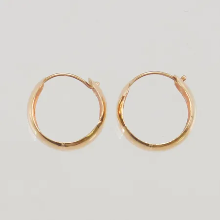 Örhängen 12mm 18K 0,7g.