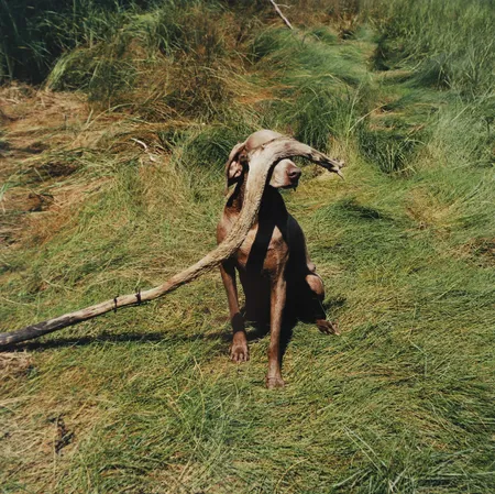 Bild av vara SE1.R86608