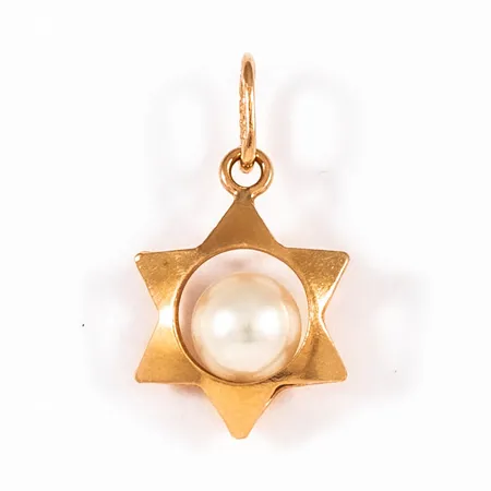 Stjärnformat hänge i 18K guld med en odlad pärla. Det är 17,8 mm långt inkl. ögla och väger 0,6g.