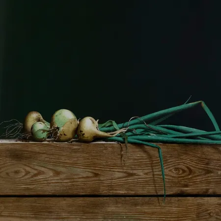 Tavla färglitografi Philip Von Schantz (1928-1998) "Salladslök", signerad numrerad 169/190, bildmått 75x30cm, rammått: 90x67cm Skickas med postpaket.