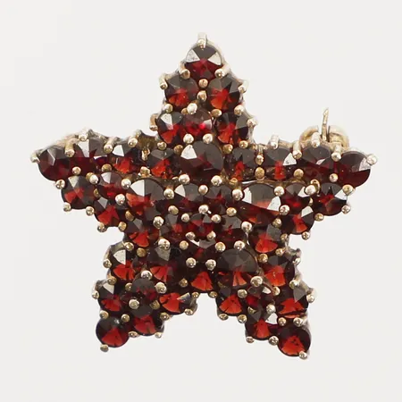 Brosch med granater Ø 25mm, förgylld, böjd nål, 830/1000 silver Vikt: 4,3 g