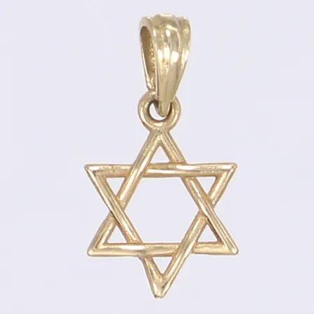 Hänge Davidsstjärna längd inkl ögla 18mm bredd 10mm 14K Vikt: 0,7 g
