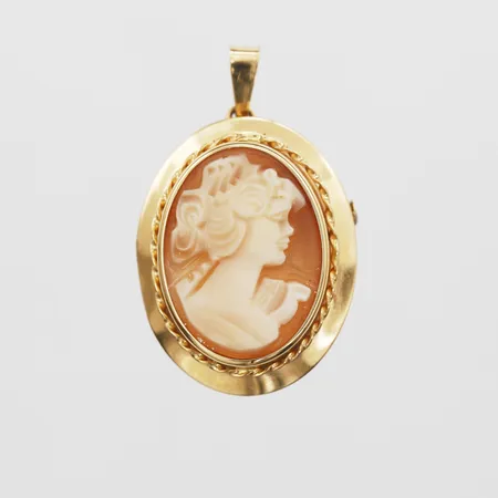 Brosch/Hänge camé längd 25mm, bredd 20mm, 18K, bruttovikt: 3,9g.