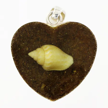 Hänge hjärta med snäcka i resin 33x26mm, ostämplad silver. Vikt: 7 g