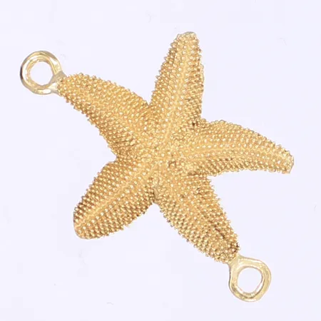 Hänge sjöstjärna med två öglor 29x19mm, ostämplad, 18K Vikt: 2,4 g