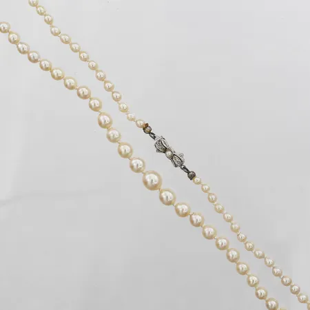 Pärlcollier med odlade saltvattenpärlor, doserat, längd: 53 cm, Ø 3 - 7 mm, lås i silver.  Vikt: 0 g