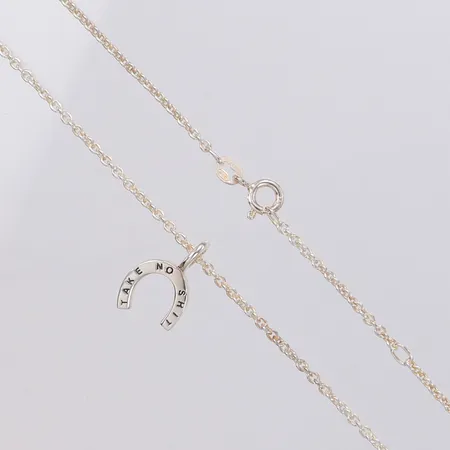 Hänge Take No Shit Efva Attling, kedja Ankar längd 42-45cm, bredd 1,8mm, silver 925/1000  Vikt: 4,7 g