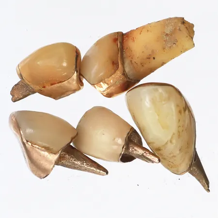 Tandguld orensat. Vikt: 13,5 g