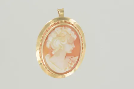 Hänge/brosch längd 3,5 cm bredd 2,5 cm, 18K Vikt: 5 g