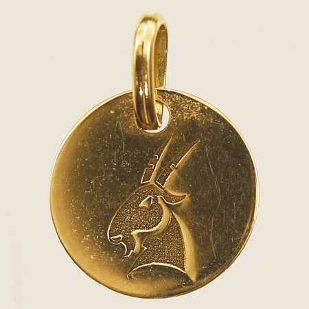 Hänge stjärntecken stenbock, Ø10mm, 18K  Vikt: 0,4 g