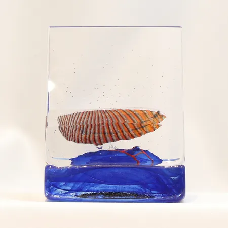 Skulptur Kosta Boda "Boat", höjd:15,5cm, bredd:8,5cm, glas, del 2/4 ur serien "Life", formgiven av Bertil Vallien, #7520040, exemplar 32/500, originalbox och certifikat.  Skickas med postpaket.