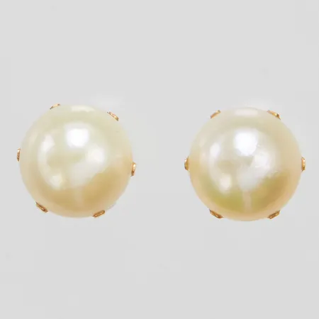 Örhängen med odlade saltvattenpärlor, Ø7,5mm, stift, 18K Vikt: 1,9g Vikt: 1,9 g