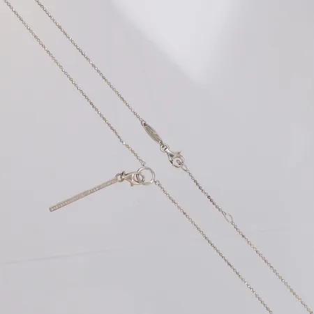 Kedja, kullänk längd 42cm med berlock Tomas Sabo längd 40mm, 925/1000 silver, originalask  Vikt: 3,3 g
