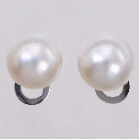 Ett par örhängen med odlade pärlor Ø10,5mm, vitguld, 18K  Vikt: 6 g