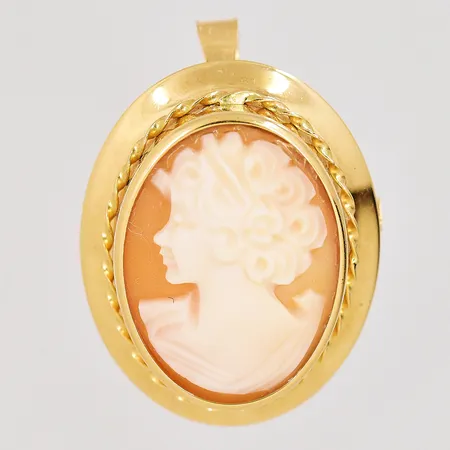 Hänge/brosch med kamé, längd 32mm, bredd 20mm, 18K. Vikt: 3,7 g