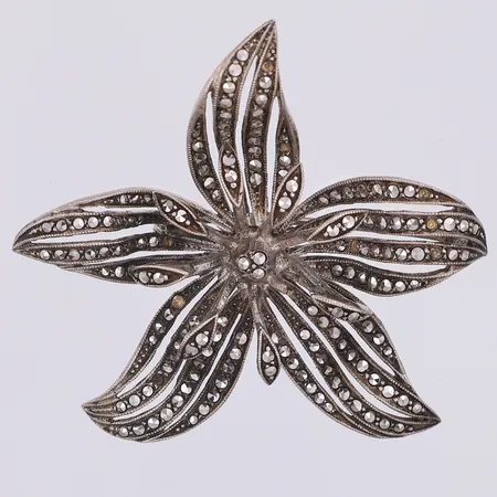 Brosch markasiter 50mm, 8 markasiter saknas, 830/1000 silver Vikt: 15,1 g
