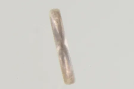 Ring stl:17¾ bredd 3 mm 8K  Vikt: 1,4 g