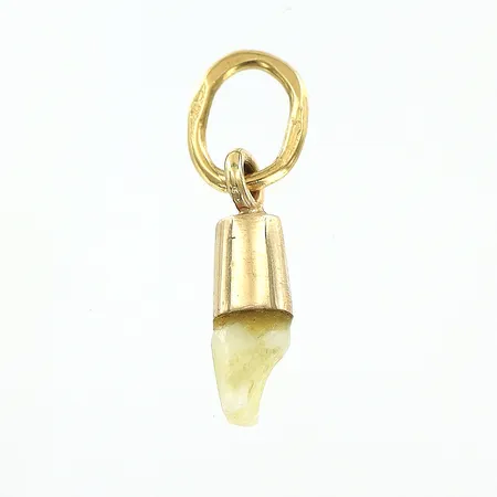 Hänge med tand längd 16mm, bredd 3mm, 18K Vikt: 0,5 g