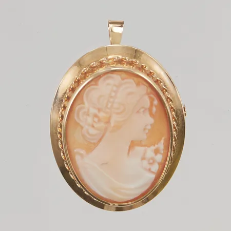 Camébrosch/Hänge 2,4x3,0mm 18K 4,3g.