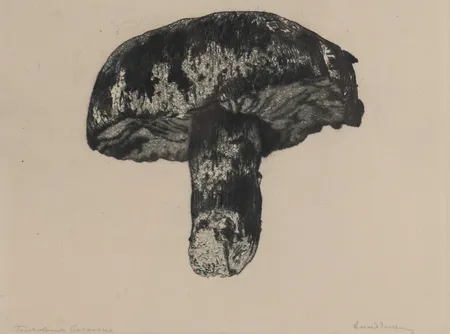 Bild av vara SE1.R87135
