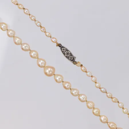 Collier med odlade barocka pärlor, längd 53cm, Ø3-7,8mm, doserat, lås 813/1000 silver Vikt: 0 g