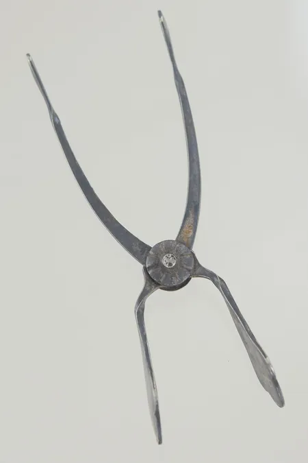 Sockertång 10 cm MGAB ALP