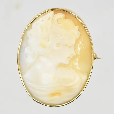 Brosch med Kamé längd 45mm, bredd 34mm, 18K. bruttovikt 9,2g.