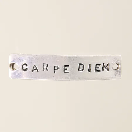 Hänge Efva Attling Carpe Diem 35x8mm silver 925/1000 Vikt: 4,4 g